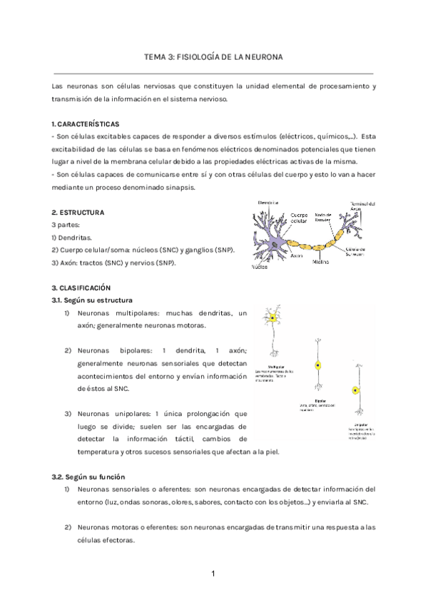 TEMA-3-FISIOLOGIA-DE-LA-NEURONA.pdf