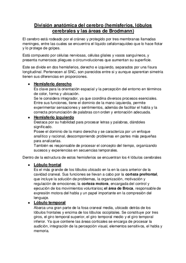 Division-anatomica-del-cerebro.pdf