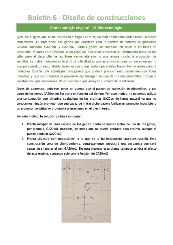 Boletin-6-Diseno-de-construcciones.pdf