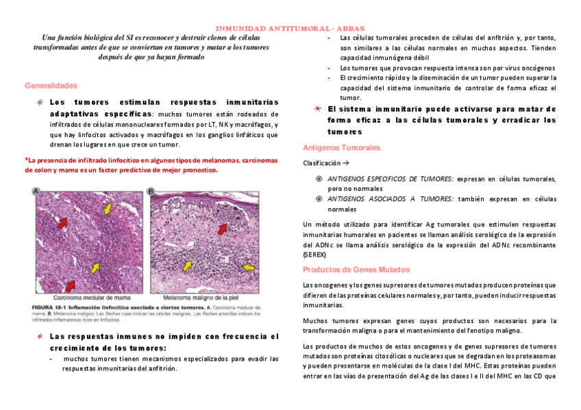 INMUNIDAD-ANTITUMORAL-ABBAS.pdf