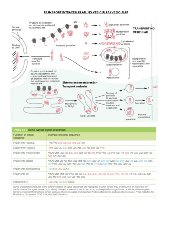 BLOC-2-BIOLOGIA.pdf