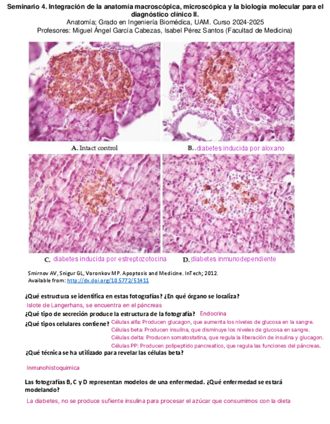 CuadernilloSeminario-4.pdf