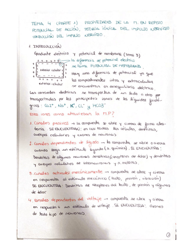TEMA-4-PARTE-1-Y-2.pdf