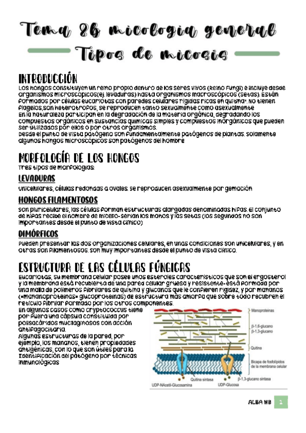TEMA-8B-Micologia-general-micosis.pdf