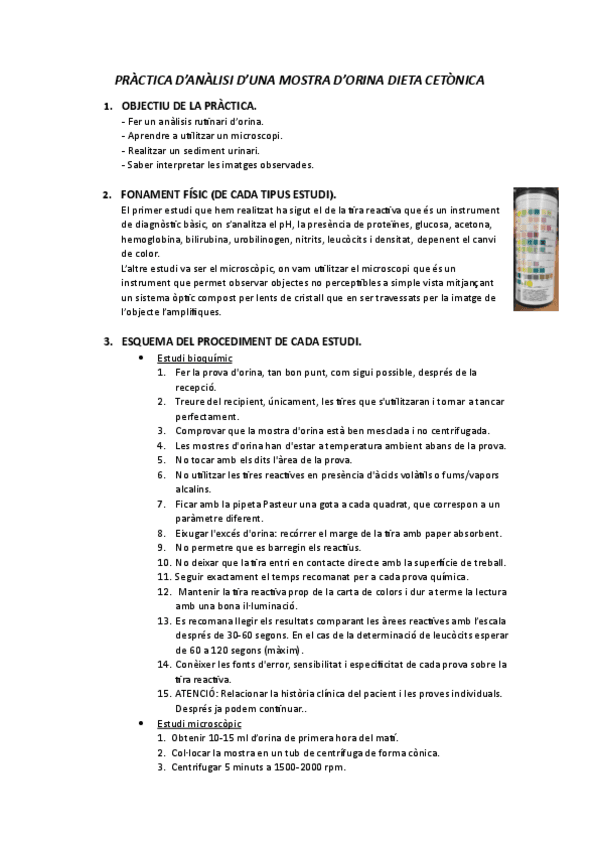 PRACTICA-ORINA-INFORME.pdf