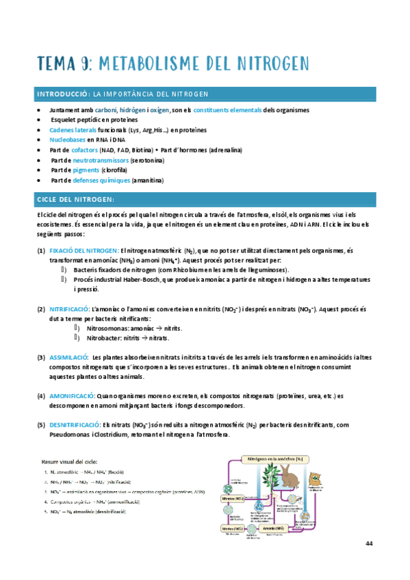 BSM-t-9-nitrogenats.pdf