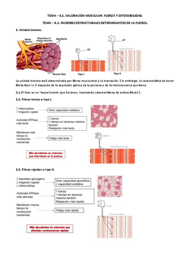 TEMA-4-VALORACION.pdf