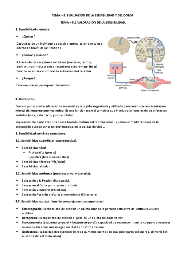 TEMA-5-VALORACION.pdf