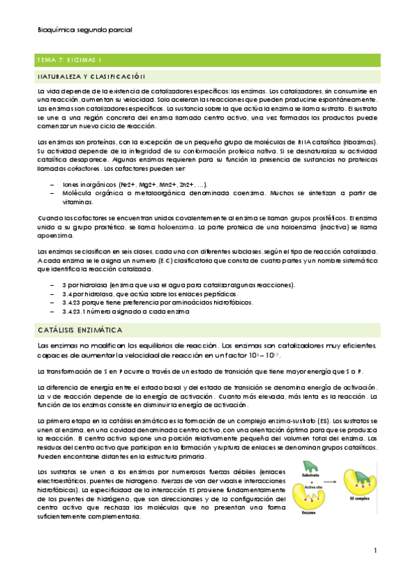 2-parcial-bioqimica-I.pdf
