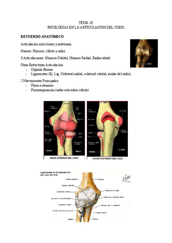 TEMA-18-LESIONES.pdf