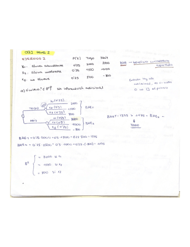 TEMA-2-EJERCICIOS.pdf
