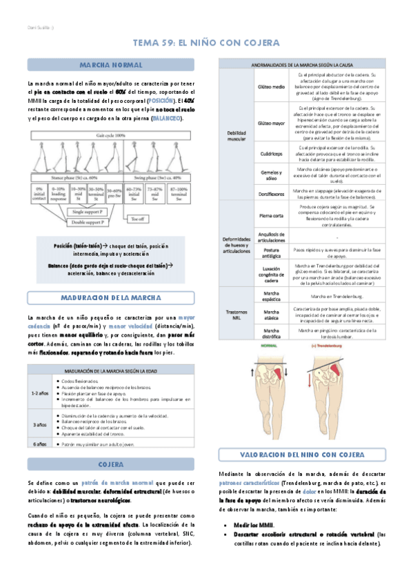 Bloque-13-Aparato-locomotor.pdf
