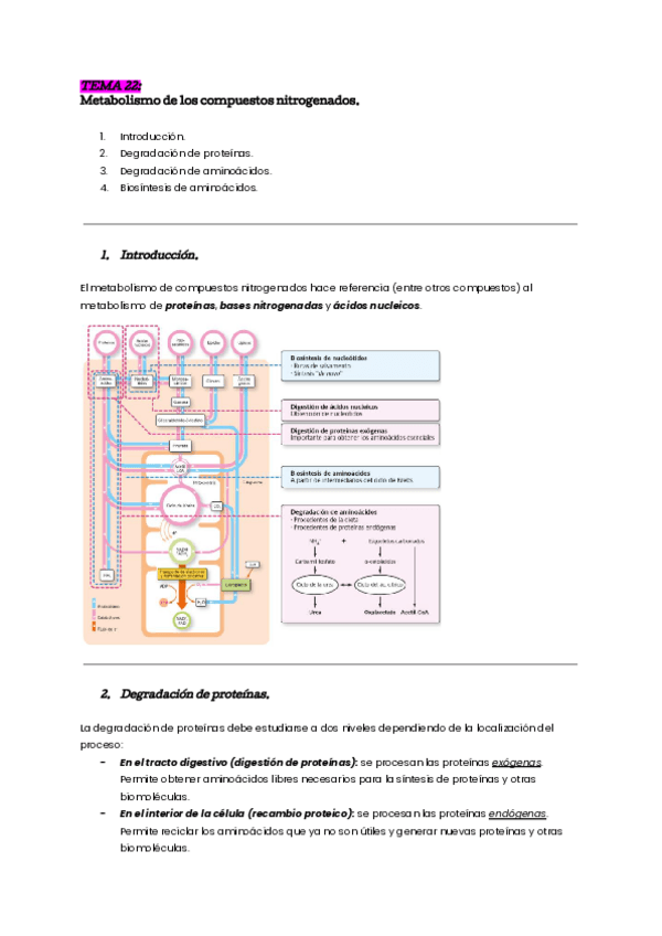 tema-22-bioq.pdf