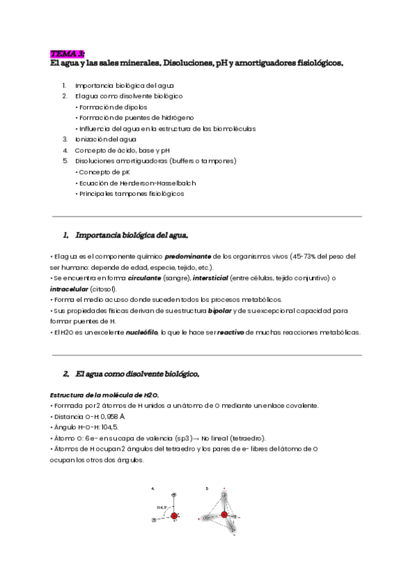 tema-3-bioq.pdf