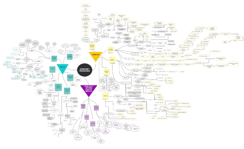 MAPA-CONCEPTUAL-ATENCION-Y-PERCEPCION.pdf