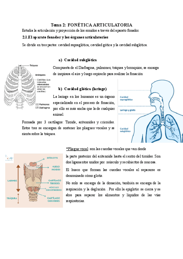 Tema-2-Fonetica-articulatoria.pdf