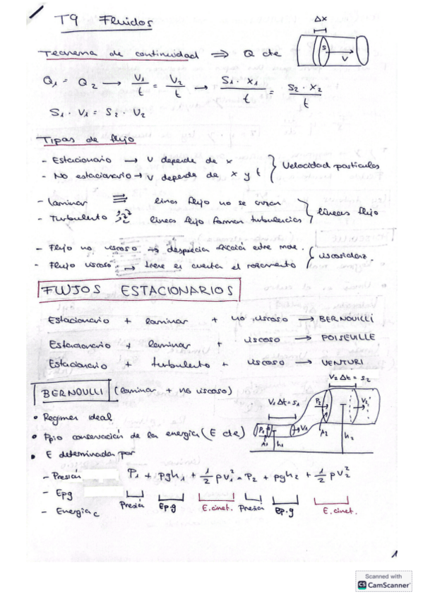 T9-Fluidos.pdf