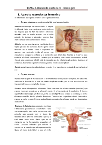 Tema 2. Reproductiva.pdf