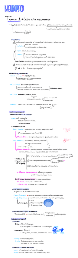 esquemas-neuropsico.pdf