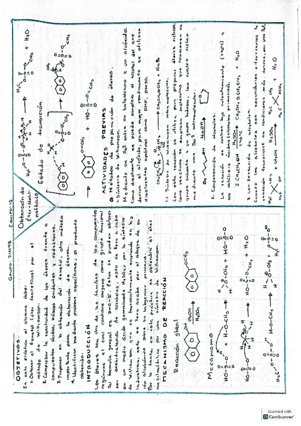 P3.-Obtencion-de-eter-metil-naftilico.pdf