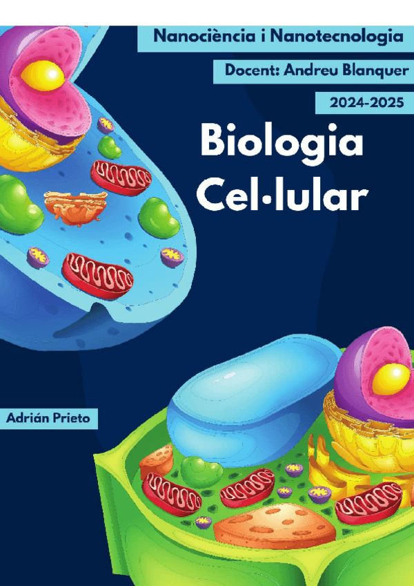 Biologia cel·lular 2nd parcial 24/25.pdf