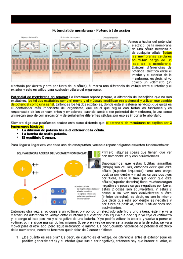 05-Fisiologia-I-Potencial-de-membrana-potencial-de-accion.pdf