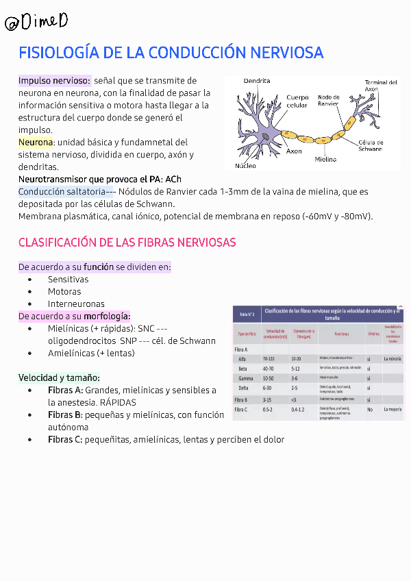 Anestesia-regional-2.pdf