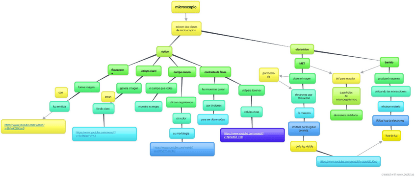 mapa-conceptual-microscopio.pdf