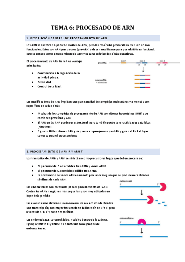 TEMA-6-PROCESADO-DE-ARN.pdf