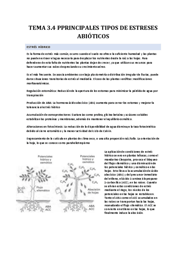 TEMA-3.4-ESTRESES-ABIOTICOS.pdf