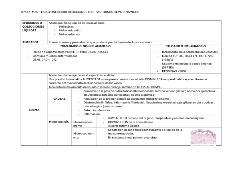 TABLA-5.pdf