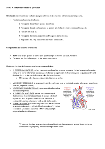 Tema 7. Sistema circulatorio y Corazón (Recuperado).pdf