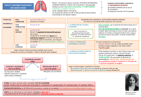 tema 6 patología respiratoria del recién nacido.pdf