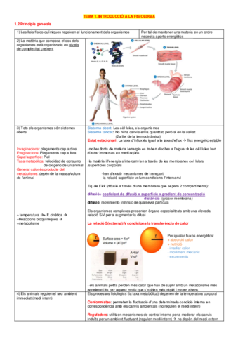 Fisiologia examen 2 (tema 1 -tema 8).pdf