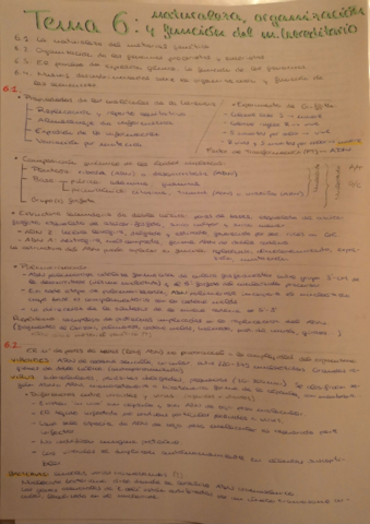 Apuntes y problemas temas 6- 7 y 8 genética .pdf