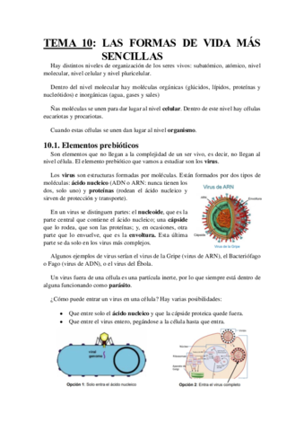 TEMA 10.docx.pdf