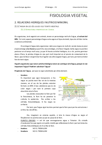 FIV APUNTES PARCIAL 1.pdf