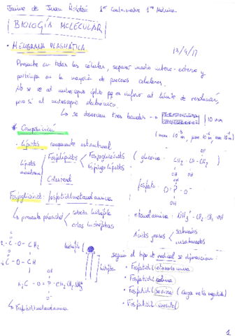 Biología 17-18.pdf