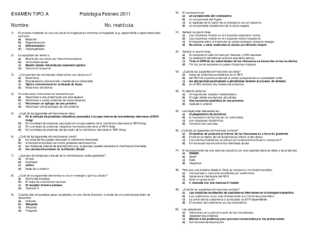 Examen  Febrero 2011 RESUELTO.pdf