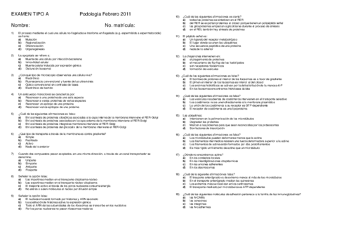 Examen  Febrero 2011 NO RESUELTO.pdf