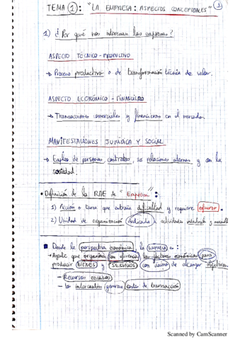 RESUMEN_EMPRESAS_1.pdf