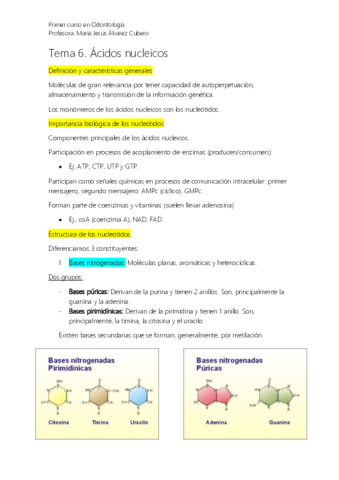 Bioquímica 6. Ácidos Nucleicos.pdf