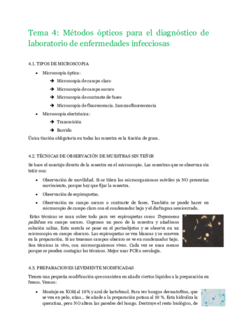 Tema 4 Microbiología clínica.pdf