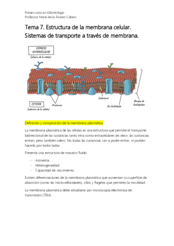 Bioquímica 7. Membrana Plasmática.pdf