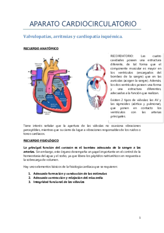 APARATO CIRCULATORIO 1.pdf