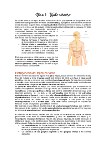 Tema 8 - Tejido nervioso.pdf