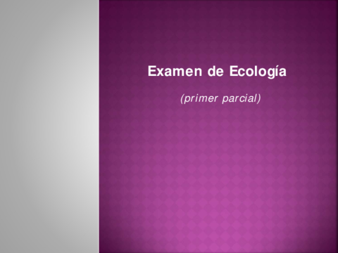 Respuestas examen.pdf