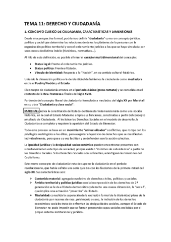 TEMA 11 DPS.pdf
