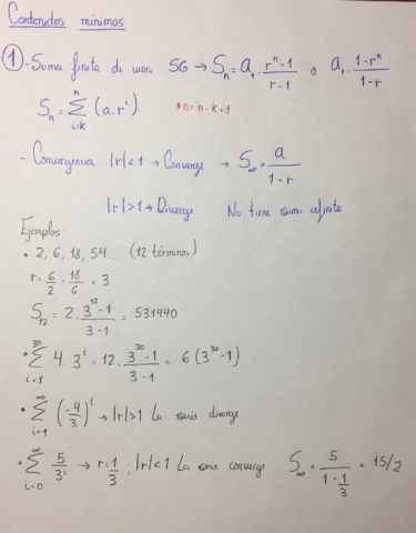 Contenidos mínimos.pdf