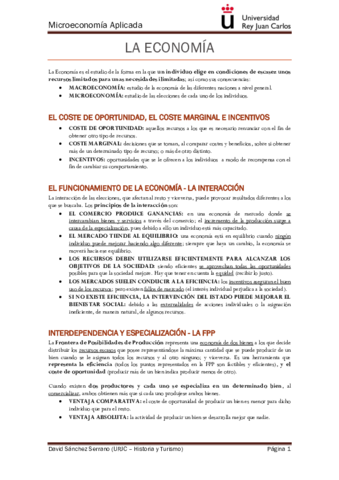 TEMA 1.pdf